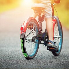 Zelfdichtende binnenbanden